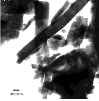 Figura  11.  Microscopia  electrónica  de  transmisión  del  xerogel  seco  obtenido  a  partir  de  nitrato  de  calcio  y  fosfato  de  amonio  inmerso  en  agua,  tratado  térmicamente hasta 350 ° C