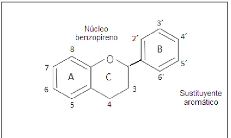 Figura 2. Estructura básica de los flavonoides. 