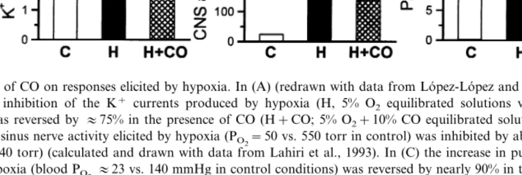 Fig. 4. Effects of CO on responses elicited by hypoxia. In (A) (redrawn with data from Lo´pez-Lo´pez and Gonzalez, 1992) it can be seen that the inhibition of the K + currents produced by hypoxia (H, 5% O 2 equilibrated solutions vs