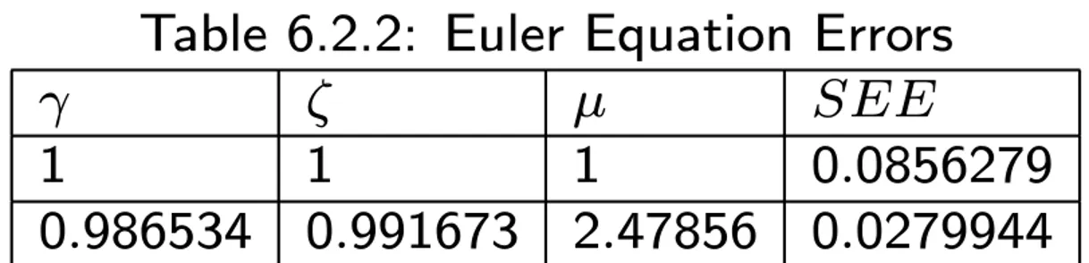 Table 6.2.2: Euler Equation Errors