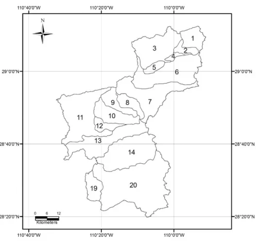Figura 12. División de la subcuenca en microcuencas. 