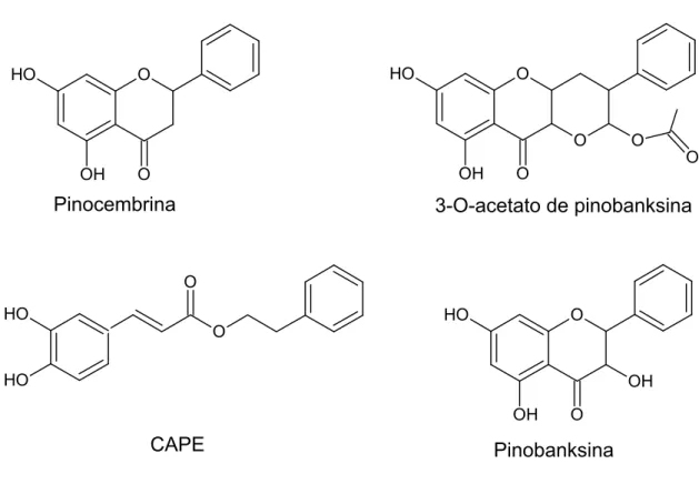 Figura 2. Estructura química de los compuestos aislados de propóleos de  zonas templadas