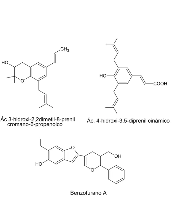 Figura 3. Estructura química de los compuestos aislados de propóleos de  zonas tropicales