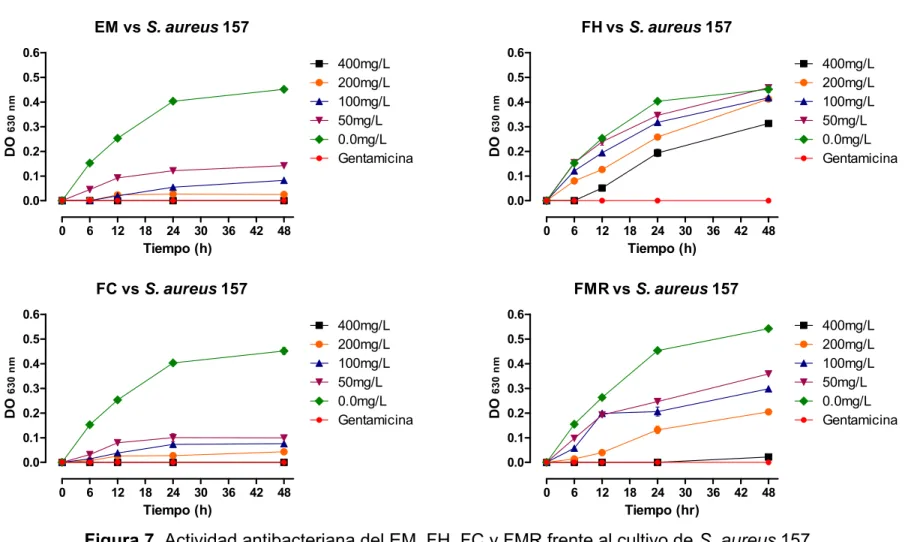 Figura 7. Actividad antibacteriana del EM, FH, FC y FMR frente al cultivo de S. aureus 157
