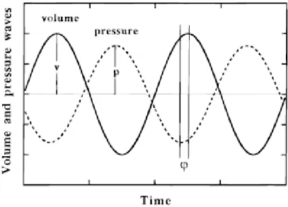 Figure 1: Pressure variation in presence of a porous material 