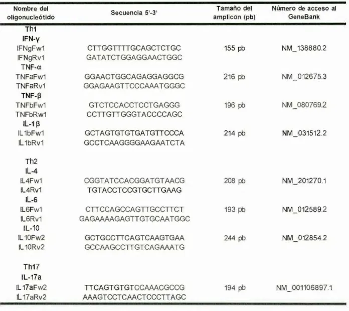 Tabla  3.  Caracteristicas  de  los  oligonucleótidos  utilizados  de  las  citosinas  de  la  respuesta  T h 1 ,  Th2  y  Th17