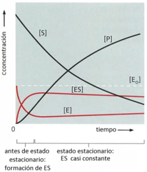 Figura 6: Evolución temporal de concentraciones.