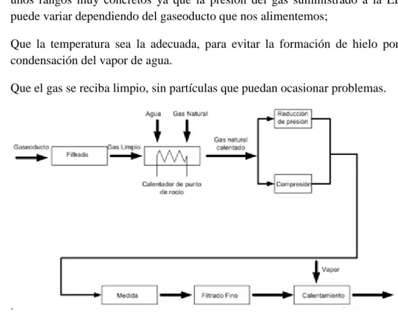 Figura 5 -  Esquema del proceso realizado  en la ERM. 