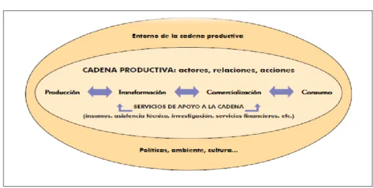 Cuadro 1. La cadena productiva 
