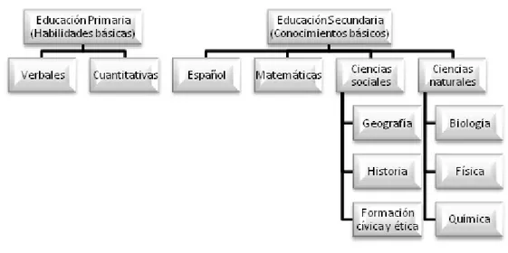 Figura I. Estructura conceptual del EXHCOBA/MS 