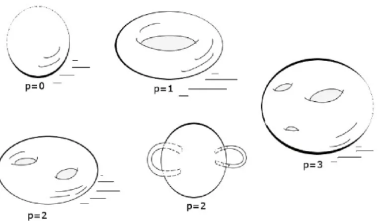 Figura 2.3: Superficies con distinta topología.