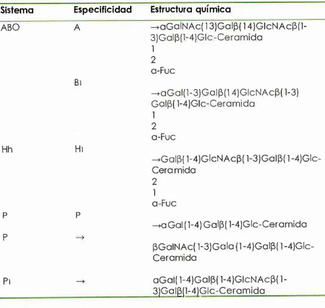 Tabla  1 .   Estructura  y  Especificidad  de  los  principales  glucoesfingolípidos  eritrocitarios con  actividad  del grupo sanguíneo