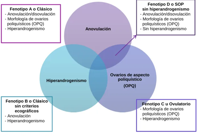 Ilustración nº 1: Fenotipos de SOP según The Rotterdam ESHRE/ASRM sponsored  PCOS consensus workshop group 