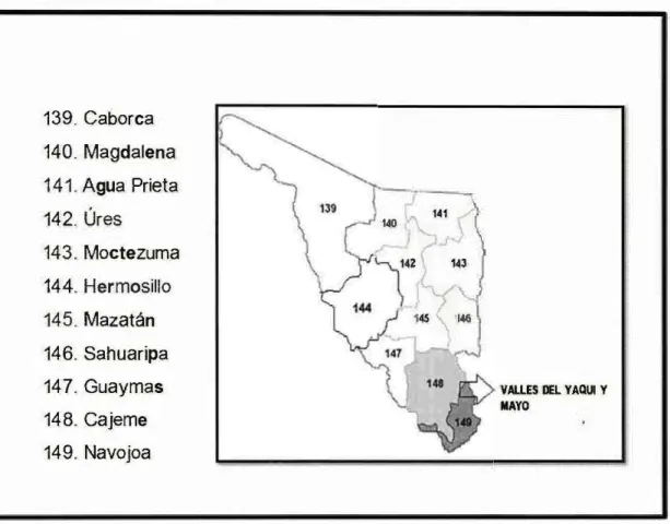 Figura 6.  Municipios de  Sonora. 