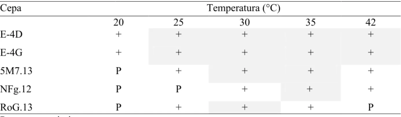 Tabla V. Condiciones de temperatura a la cual se sometieron las cinco cepas bacterianas