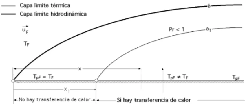 Fig XI.9 - Placa con una capa límite laminar y dos capas límite térmicas