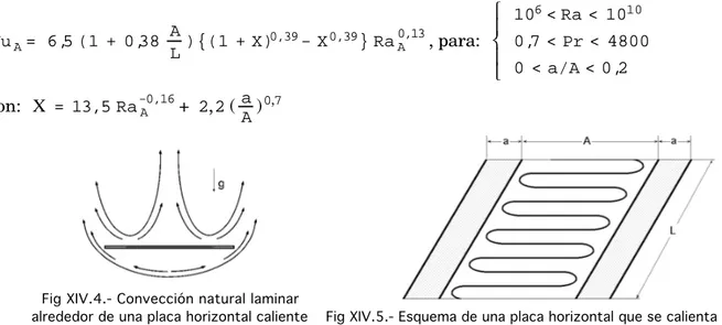 Fig XIV.4.- Convección natural laminar