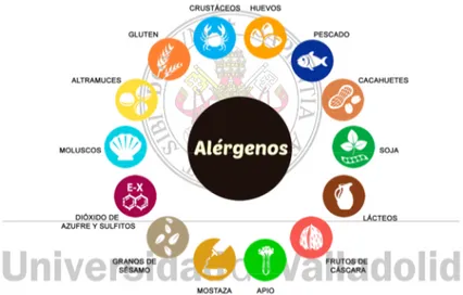 ILUSTRACIÓN 8. Posibles  alérgenos asociados a los alimentos.