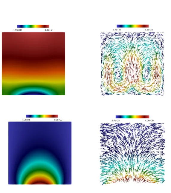 Figure 6.4: Example 3: Pressure, velocity vector field (from the left to the right, at the top), temperature and heat flux vector field (from the left to the right, at the bottom).