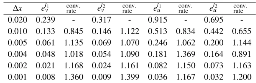 Table 1.1: Example 1: Numerical error at t 1 = 0.1 and t 2 = 0.25.