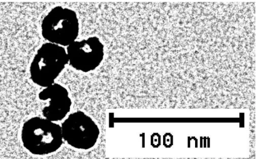 Fig.  3.1.1  presents  a  representative  transmission  electron  microscopy  (TEM)  image  of  synthesized hollow GNPs