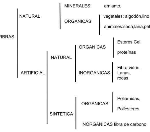 Fig. 5.- Clasificación de las fibras 