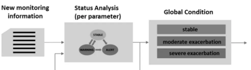 Figure 1.  Monitoring protocol process