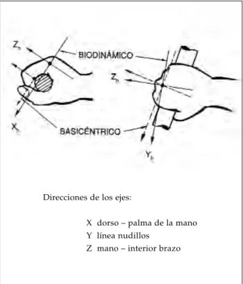 Figura 1 - Sistema de coordenadas