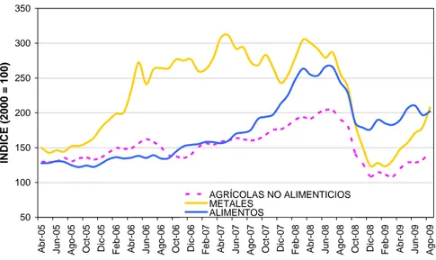 Gráfico 11 