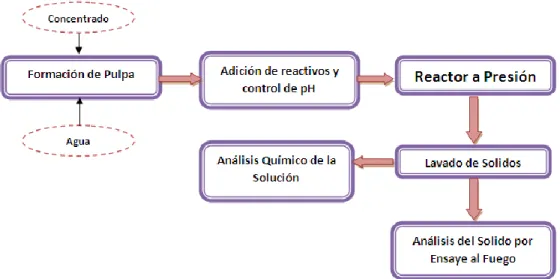 Figura 7. Diagrama de Procedimiento en la Experimentación. 
