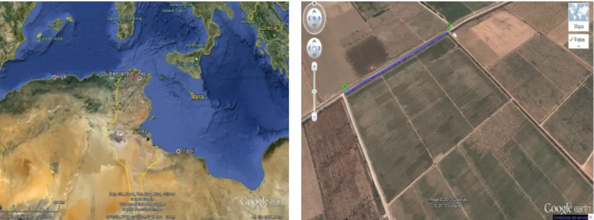 Figure 1. 1 Site of the studied land 