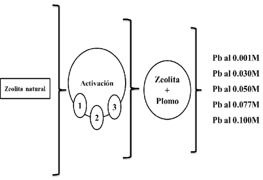 Fig. 2.3. Esquema del proceso de obtencion de clusters metalicos en zeolita natural. 