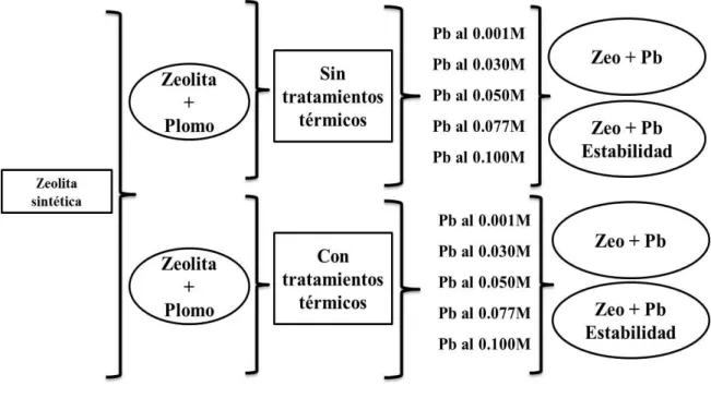 Fig. 2.4. Esquema del proceso de estebilidad  de clusters metalicos en zeolita natural