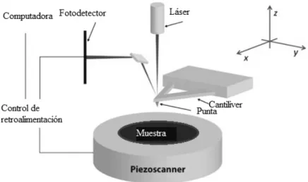 Figura 4.  Representación de componentes de AFM. 