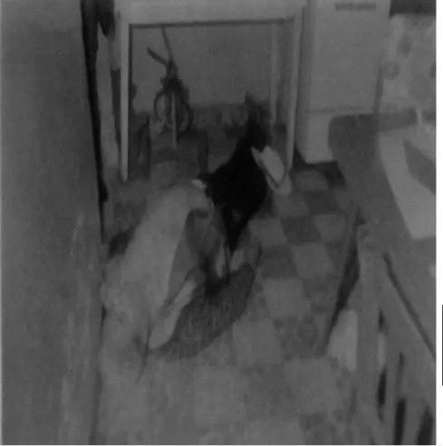 Fig. 2.1 Interior del lugar de  los hechos. 