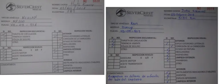 Figura 8. Ejemplo de formatos de estado actual de las unidades 
