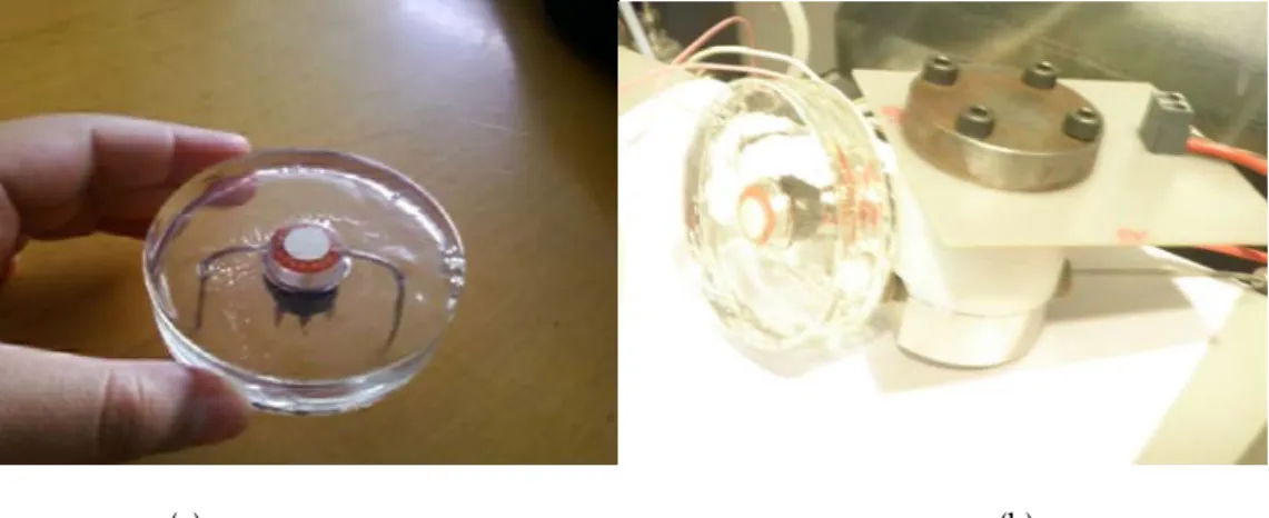 Figure 1: (a) Picture of the TGS embedded inside the sensing chamber with metallic inlet and outlet  connections (b) picture of the concentrator chamber connected with the TGS