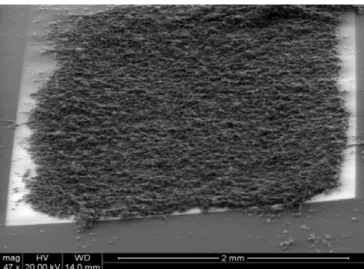 Figure 1: ESEM image of activated carbon airbrushed over a microfabricated membrane 