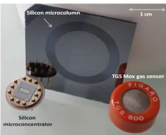 Figure  11: picture of a commercially available metal oxide gas sensor (TGS gas sensor from Figaro) in front of  a GC micro-column and the gas micrconcentrator realized in this study