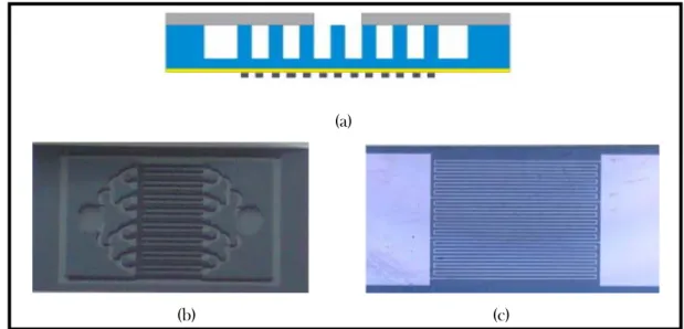 Figure 5:  3D microchannel packed structure (a) side view schematic design (b) Top view image of the device  (c) Bottom view [28]