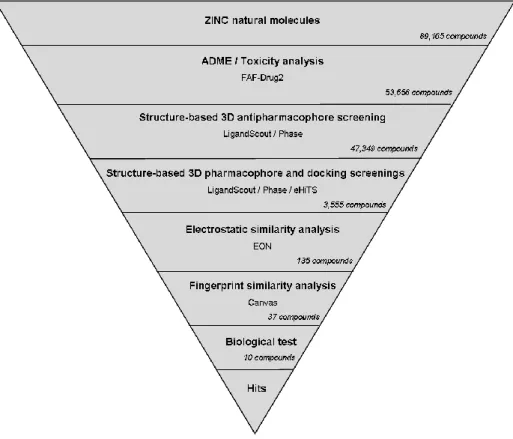 Figure 2. Schematic overview of the VS workflow and the procedure used for selecting the VS  hits  whose  bioactivity  was  experimentally  tested