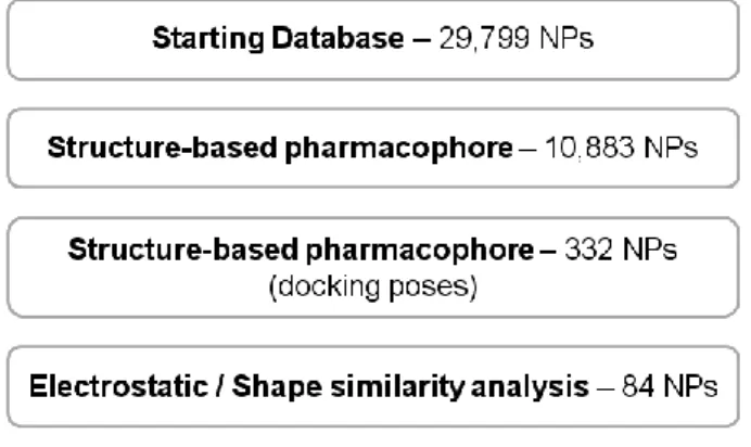 Figure 1. The VS workflow used in the present work. The data beside each VS step show the  number of molecules that survived it.