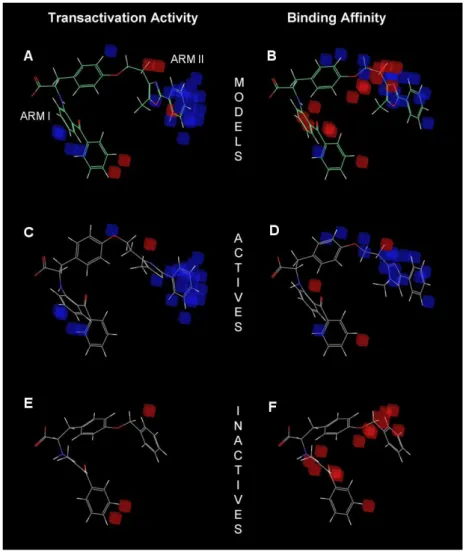 Figure  6.  Representation  of  the  pEC 50   (A)  and  the  pIC 50   (B)  models.  Blue  and  red  cubes  indicate, respectively, regions that are favorable and unfavorable for the transactivation activity  or binding affinity to the LBD of PPARγ