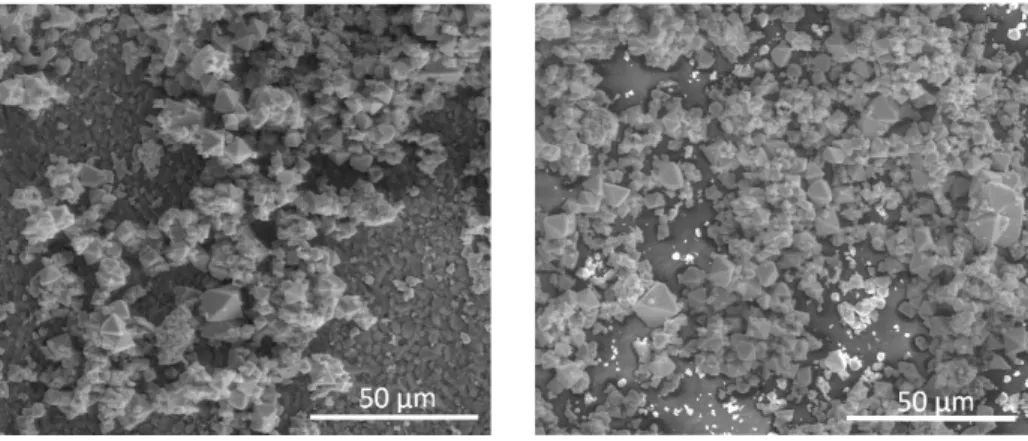 Fig. 2.5 Detail of the active layer deposited over both substrates.  
