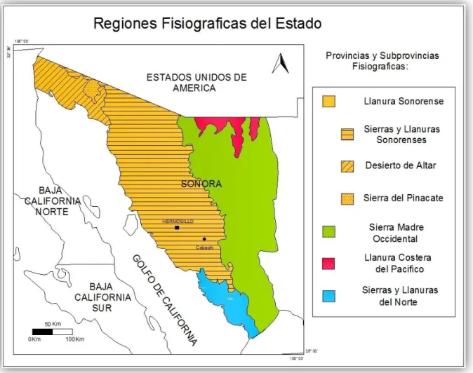 Figura 2. Regiones fisiográficas, provincias y subprovincias del Estado de Sonora. (Modificado de  INEGI) 