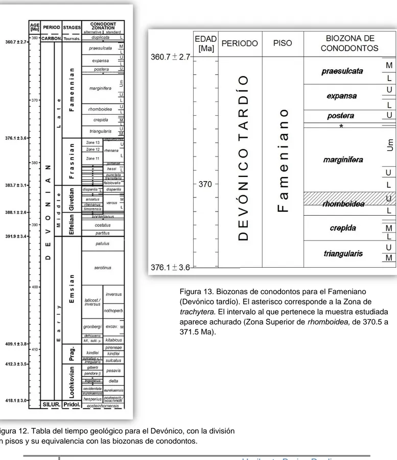 Figura 12. Tabla del tiempo geológico para el Devónico, con la división  en pisos y su equivalencia con las biozonas de conodontos.