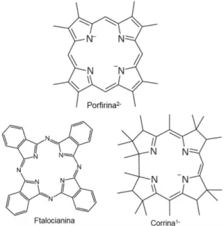 Figura 4. Ejemplos de macrociclos con cuatro átomos de nitrógeno coplanares