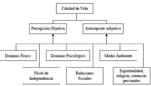 Figura 4. Diagrama del modelo conceptual de la OMS 