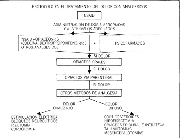 Figura 3. Protocolo de actuación en la Unidad del Dolor.