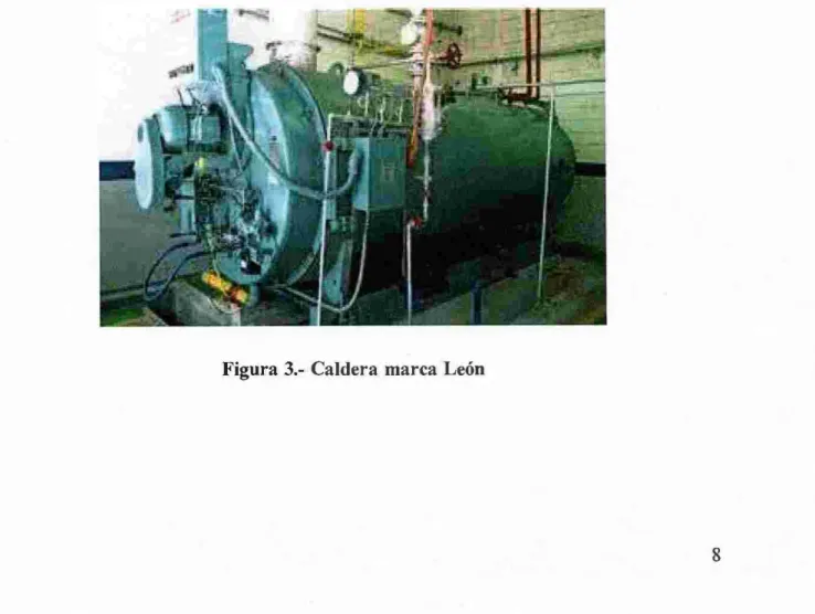 Figura 3.-  Caldera  marca León 